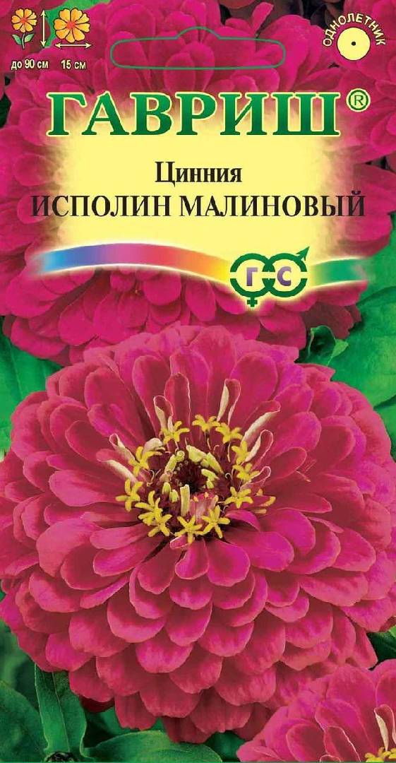 Цинния Исполин малиновый 0,3 г Н12 ГАВРИШ