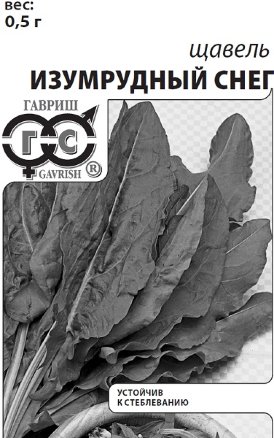Щавель Изумрудный снег, 0,5г белый пакет с евроотверстием ГАВРИШ