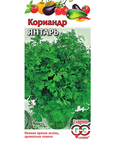 Кориандр Янтарь 2,0г. Гавриш