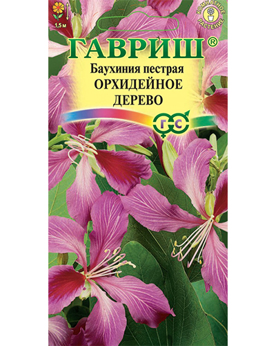 Баухиния Орхидейное дерево (пурпурная) 3шт. Гавриш