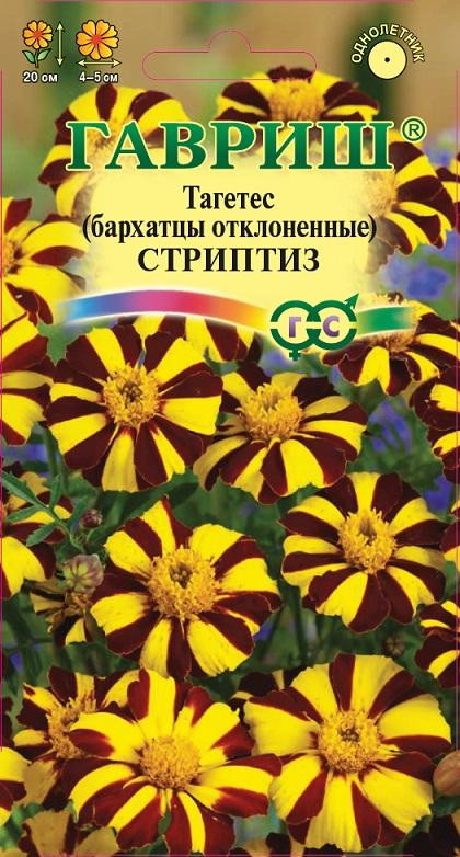 Бархатцы отклоненные Стриптиз (Тагетес) 0,3г. ГАВРИШ
