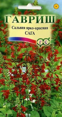 Сальвия Сага ярко-красная * 0,05 г Н9 ГАВРИШ