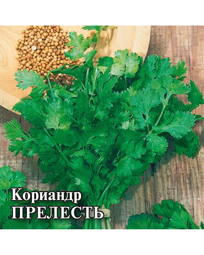 Кориандр Прелесть 25,0г. Гавриш