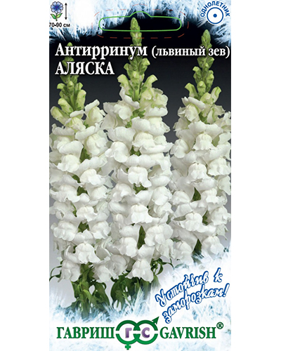 Антирринум (Львиный зев) Аляска* 0,1г. серия Устойчив к заморозкам! Гавриш
