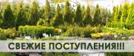 Последние поставки!