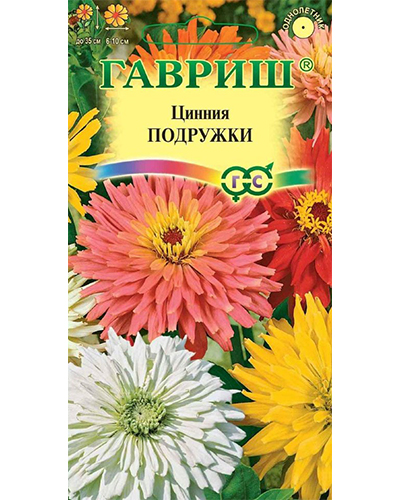 Цинния Подружки, низкорослая кактусовидная смесь 0,2г. DH ГАВРИШ 