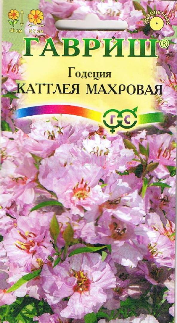 Годеция Каттлея, махровая* 0,1 г ГАВРИШ