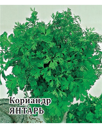 Кориандр Янтарь 25,0г. Гавриш