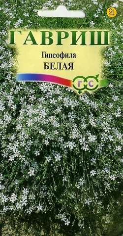Гипсофила ползучая, Белая* 0,1 г Н9 ГАВРИШ