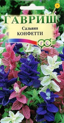 Сальвия Конфетти* 0,05г. Н9 ГАВРИШ
