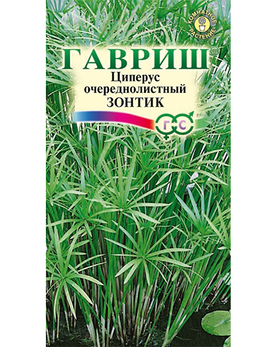 Циперус Зонтик (очереднолистный) 0,05г. Гавриш
