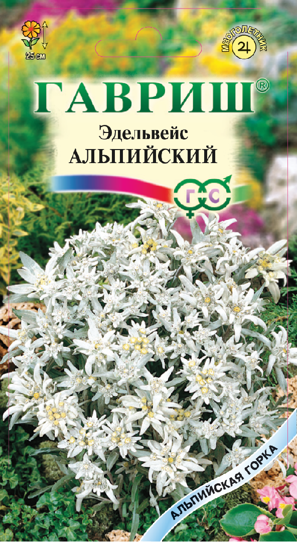 Эдельвейс альпийский Занзи* 0,02 г сер. Альпийская горка ГАВРИШ