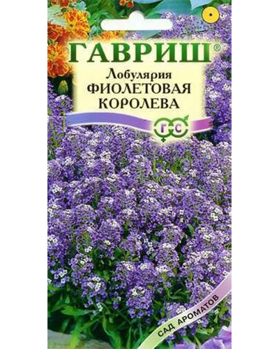 Лобулярия Фиолетовая королева 0,2г. серия Сад ароматов Гавриш
