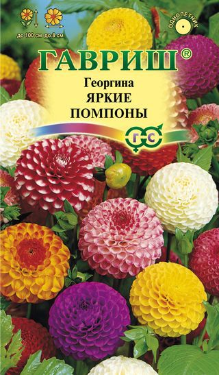 Георгина Яркие помпоны 0,2г. Н12 ГАВРИШ