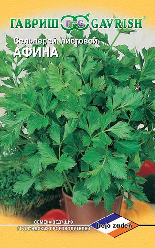Сельдерей Афина листовой 0,1 (Голландия) Н14 ГАВРИШ