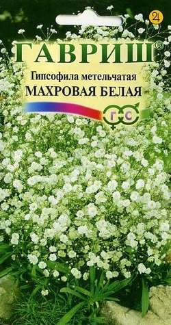 Гипсофила метельч. Махровая белая* 0,1 г ГАВРИШ
