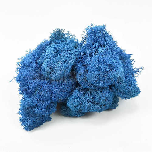 Мох Ягель стабилизированный Blue