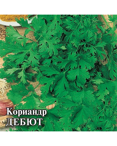 Кориандр Дебют 25,0г. Гавриш