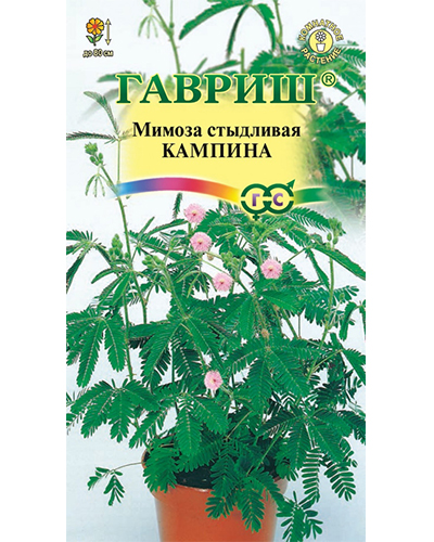 Мимоза стыдливая Кампина* 0,1г. Гавриш