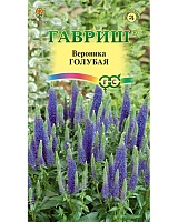 Вероника Голубая (колосковая)* 0,05г. Гавриш