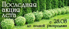 Последняя акция лета