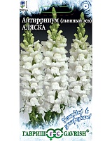 Антирринум (Львиный зев) Аляска* 0,1г. серия Устойчив к заморозкам! Гавриш