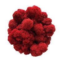 Мох Ягель стабилизированный Red