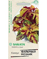 Колеус Файервей Мозаик 4шт. Саката H20 ГАВРИШ