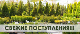 Последние поставки!
