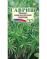 Циперус Зонтик (очереднолистный) 0,05г. Гавриш