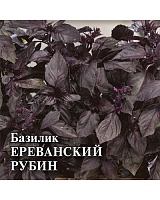 Базилик Ереванский рубин 10г. Гавриш