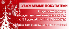 Новогодние каникулы!